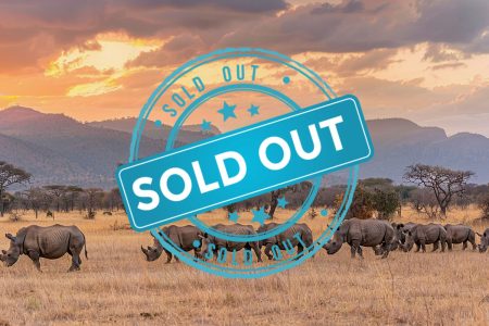 Explore Kenya’s Magical Wildlife and Scenic Beauty with RJ Fazlu