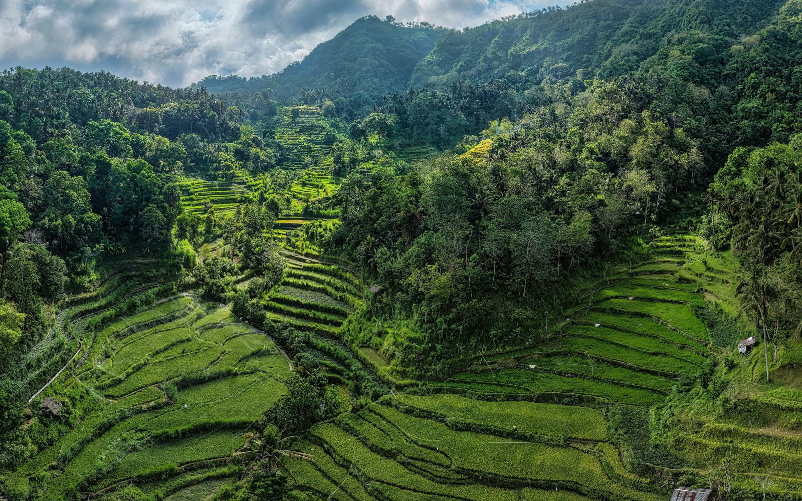 Bali Group Tour – Eid Ul Fitr Special | 4 Nights / 5 Days