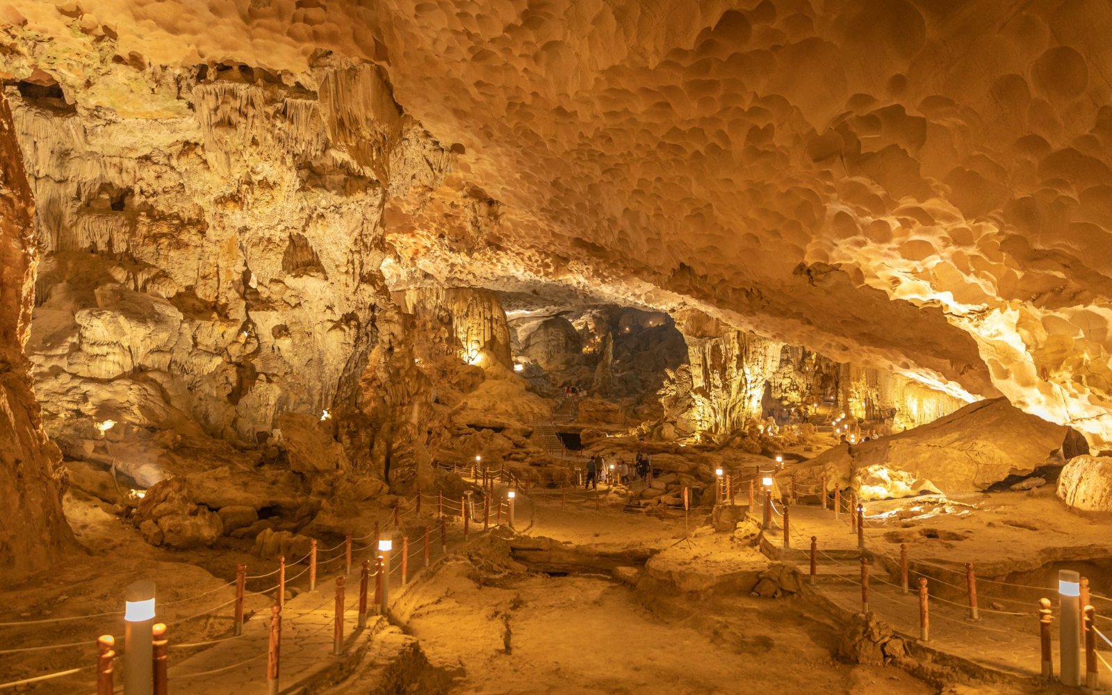 Explore Vietnam: Hanoi, Ninh Binh & Halong Bay Getaway | 4 nights/ 5 days