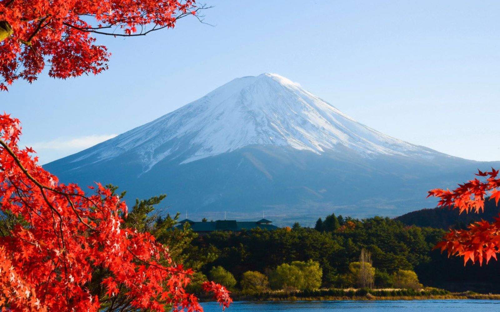 Japan Group Tour – Eid-ul-Fitr Special | Tokyo, Hiroshima & Osaka Experience | 8 Nights/ 9 Days