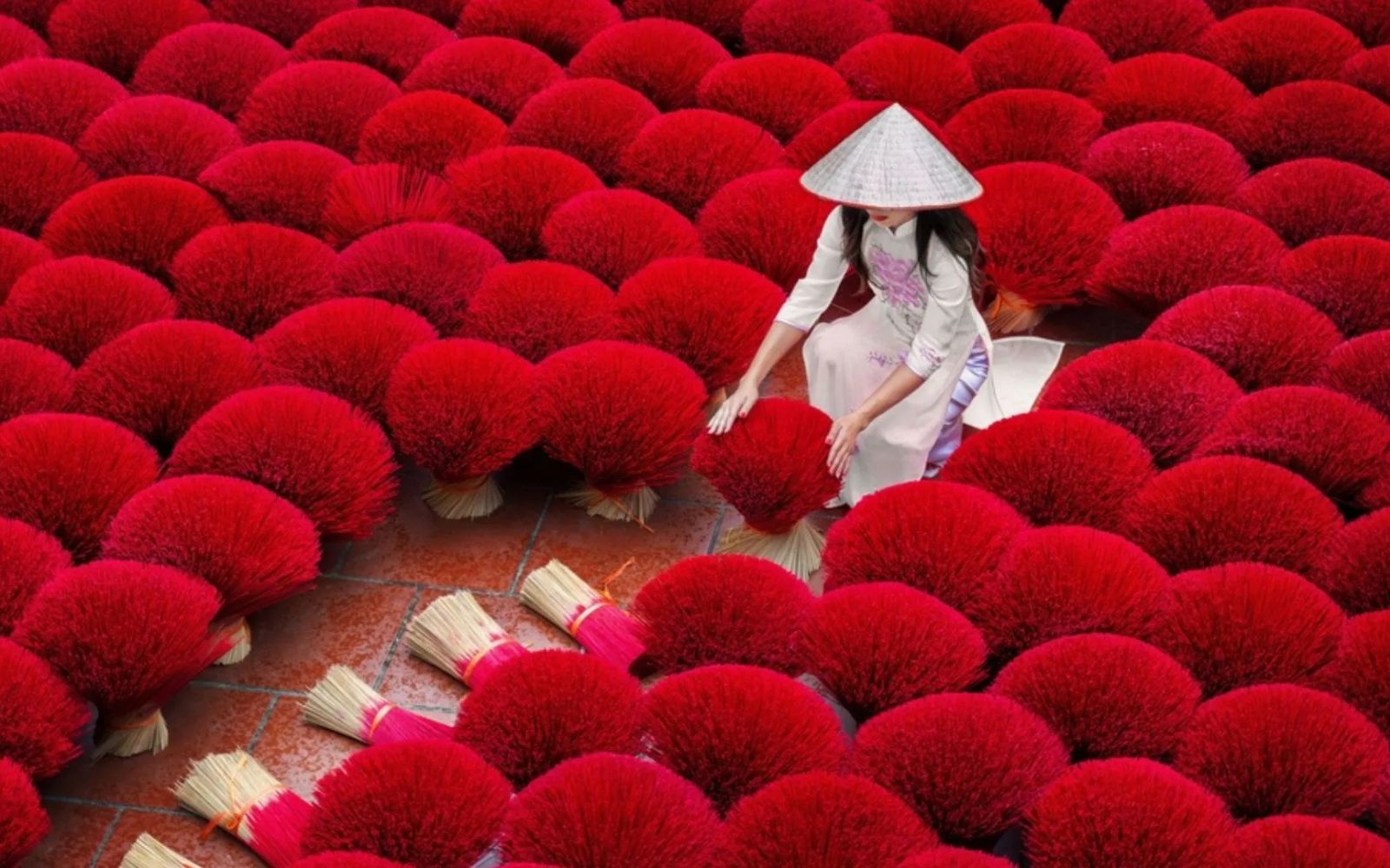 Explore Vietnam: Hanoi, Ninh Binh & Halong Bay Getaway | 4 nights/ 5 days