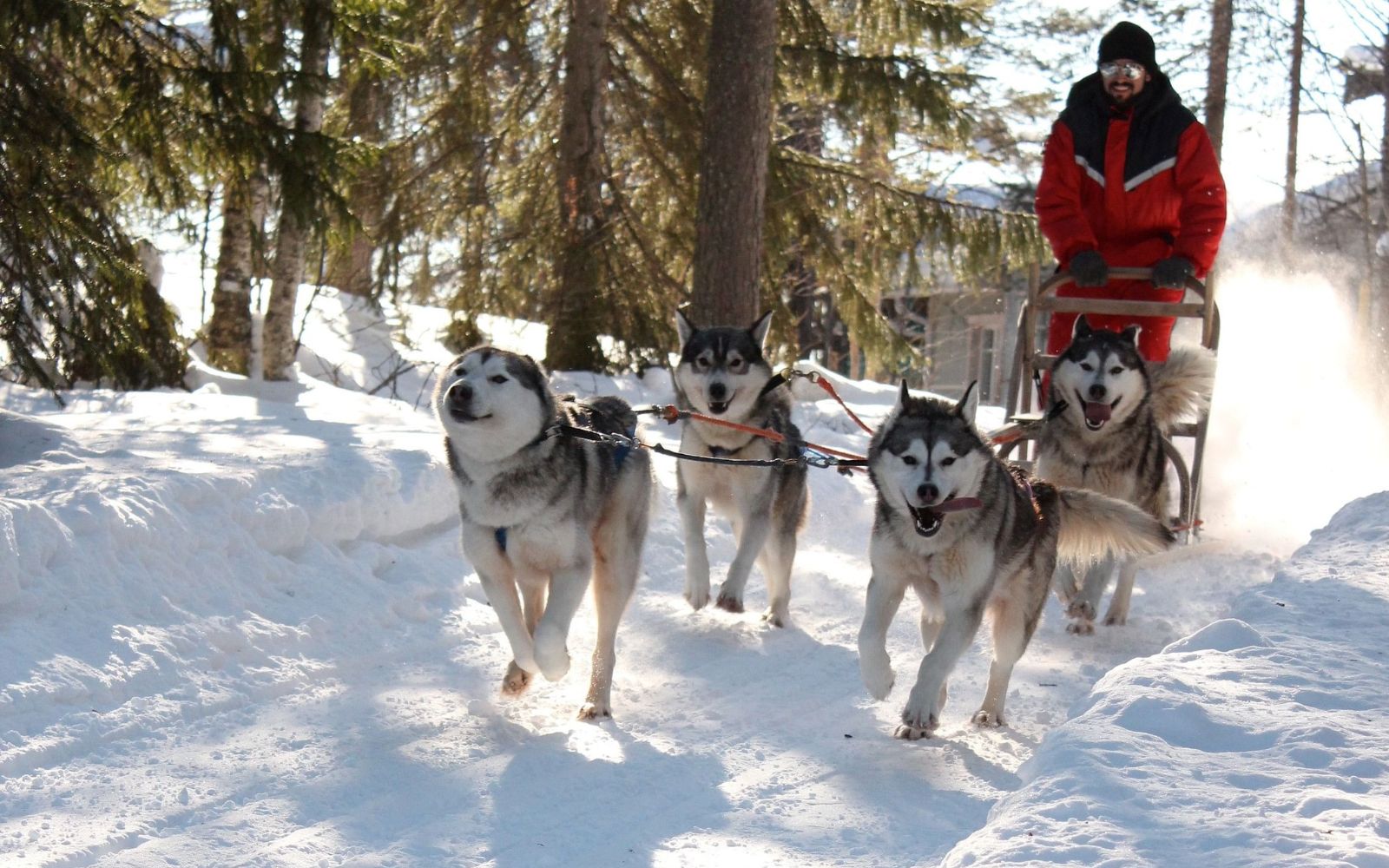 Russia Eid-Ul-Fitr Special 2026 – Northern Lights Experience | 5 nights/ 6 days