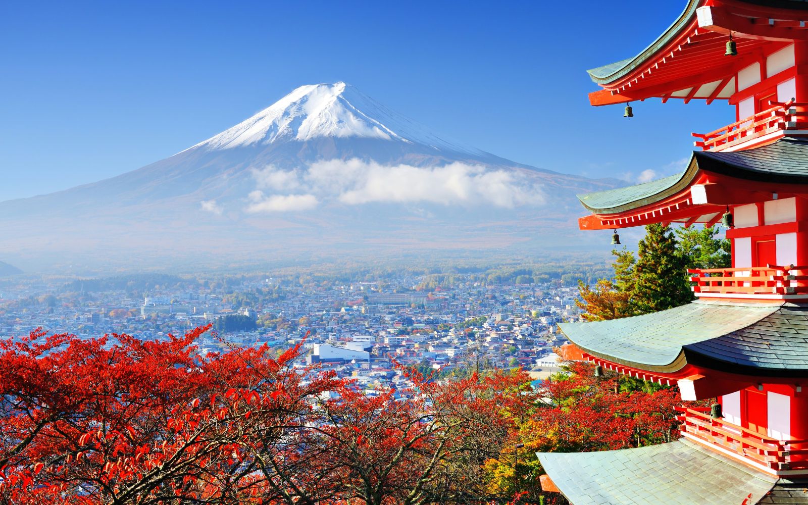 Japan Group Tour – Eid-ul-Fitr Special | Tokyo, Hiroshima & Osaka Experience | 8 Nights/ 9 Days