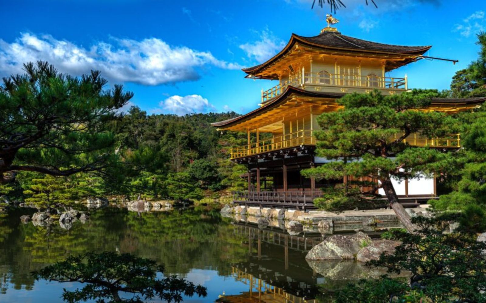 Japan Group Tour – Eid-ul-Fitr Special | Tokyo, Hiroshima & Osaka Experience | 8 Nights/ 9 Days