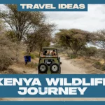Wildlife Journey