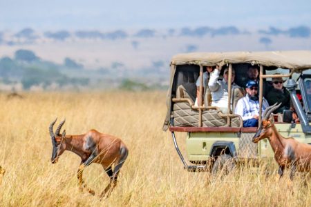 The Land of Big Five- Kenya Package | 4N 5D