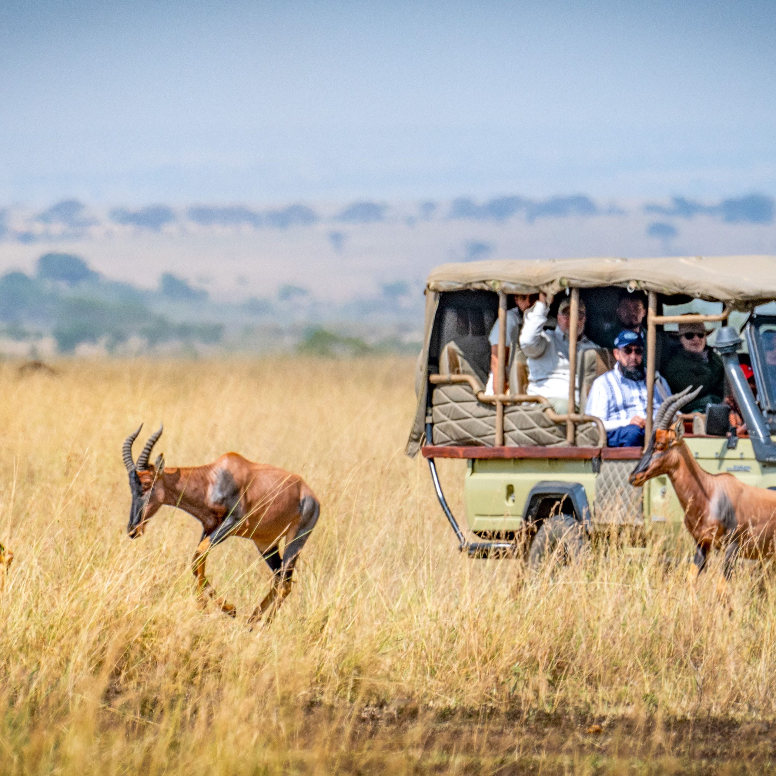The Land of Big Five- Kenya Package | 4N 5D