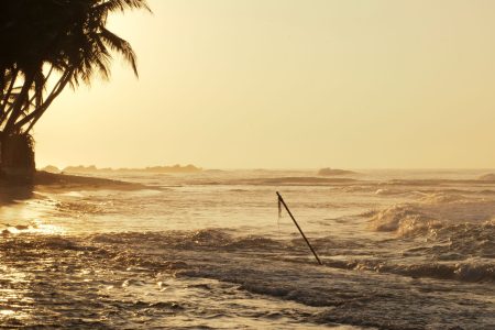 Sri Lanka Tour Package: Explore Kandy, Nuwara Eliya, Bentota & Colombo | 4N 5D