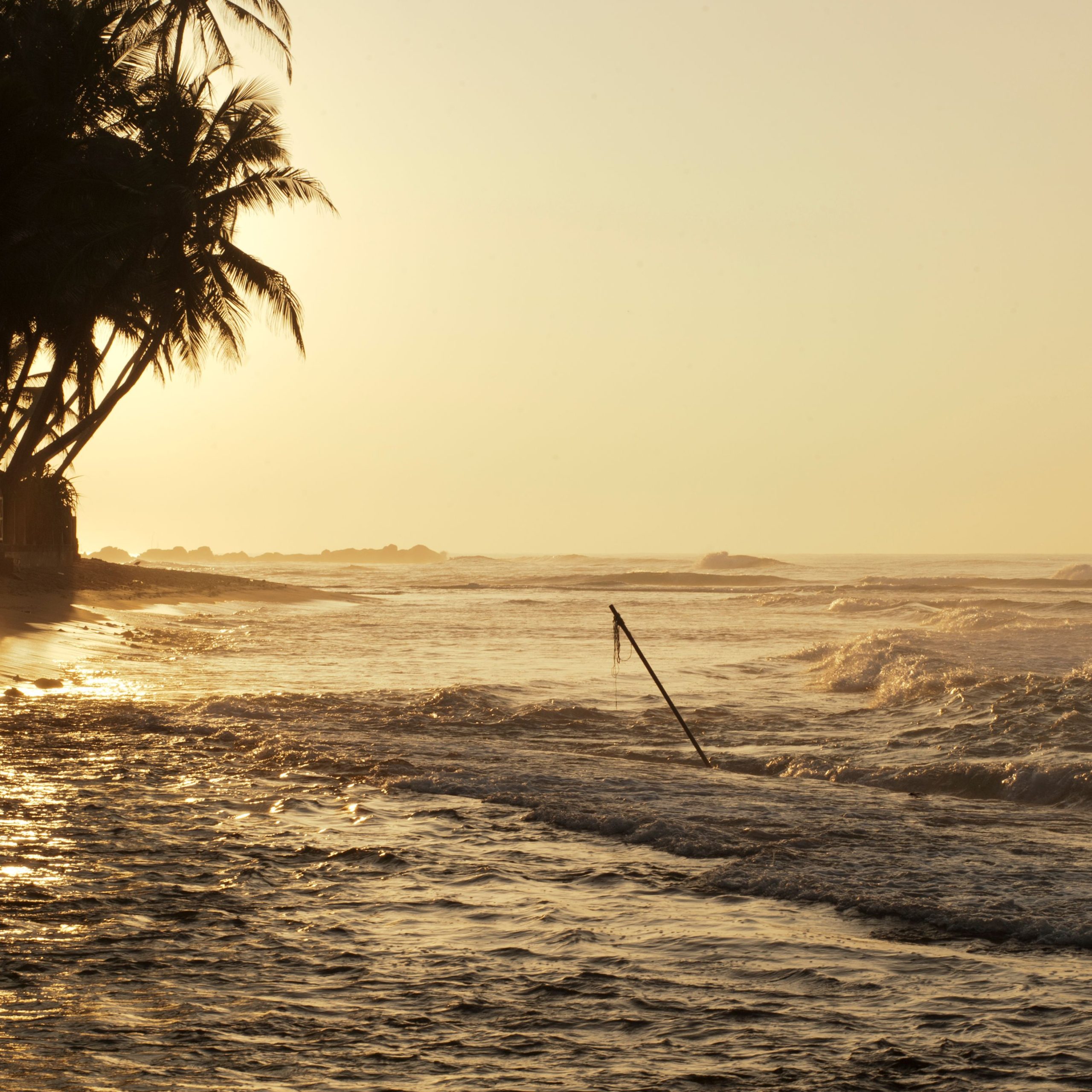 Sri Lanka Tour Package: Explore Kandy, Nuwara Eliya, Bentota & Colombo | 4N 5D