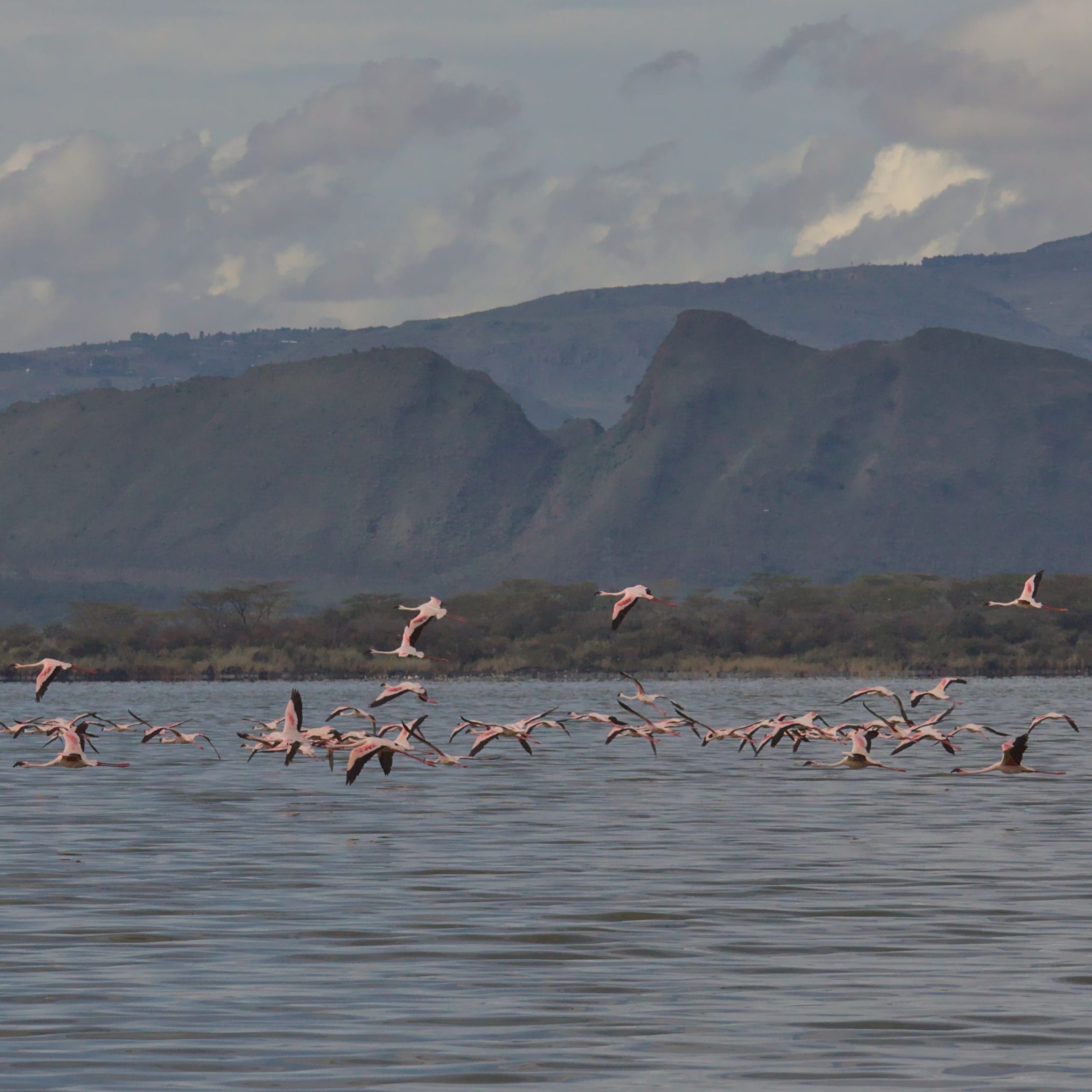 The Land of Big Five- Kenya Package | 4N 5D