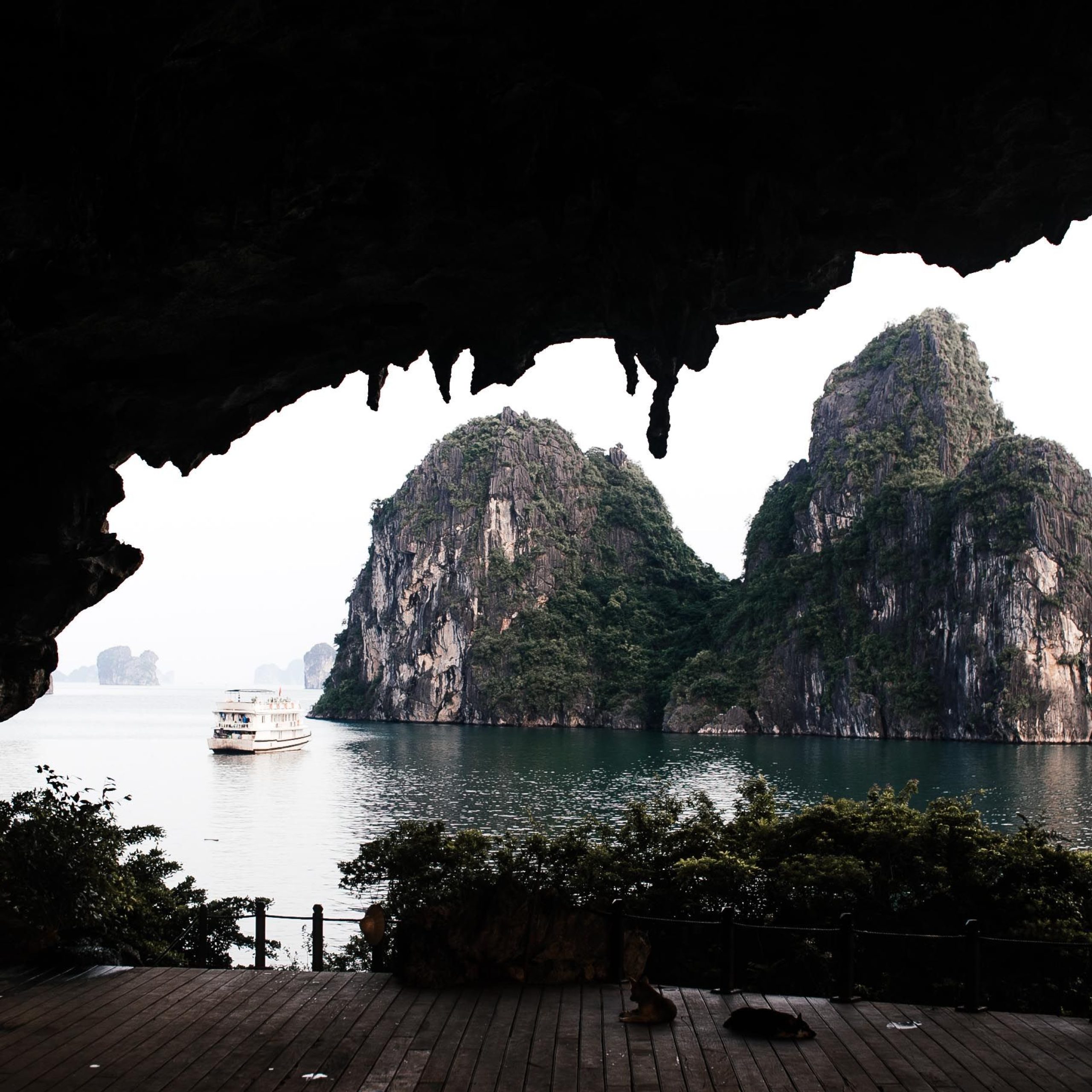 Vietnam Tour Package: Hanoi, Ninh Binh & Halong Bay Cruise | 4N 5D