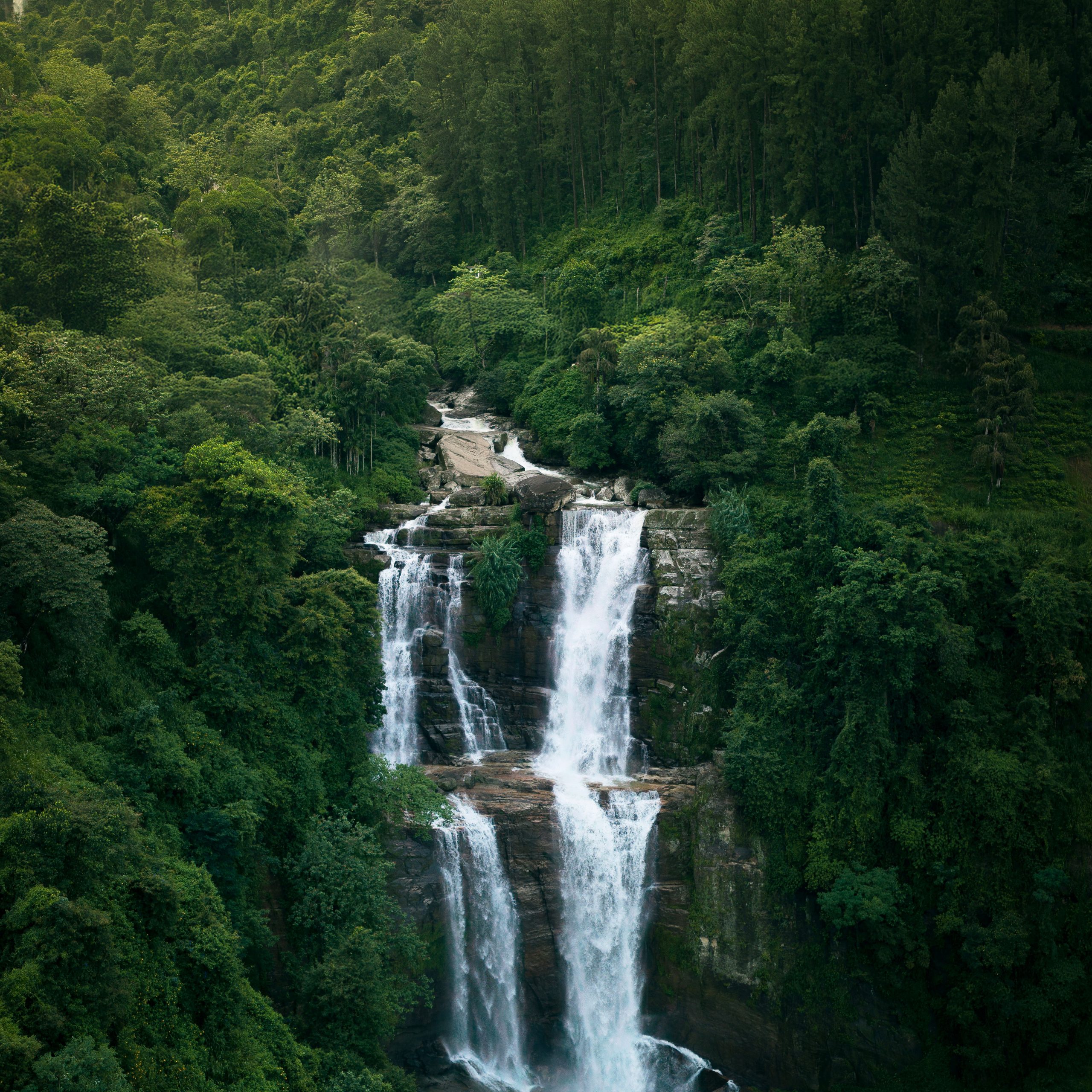 Sri Lanka Tour Package: Explore Kandy, Nuwara Eliya, Bentota & Colombo | 4N 5D