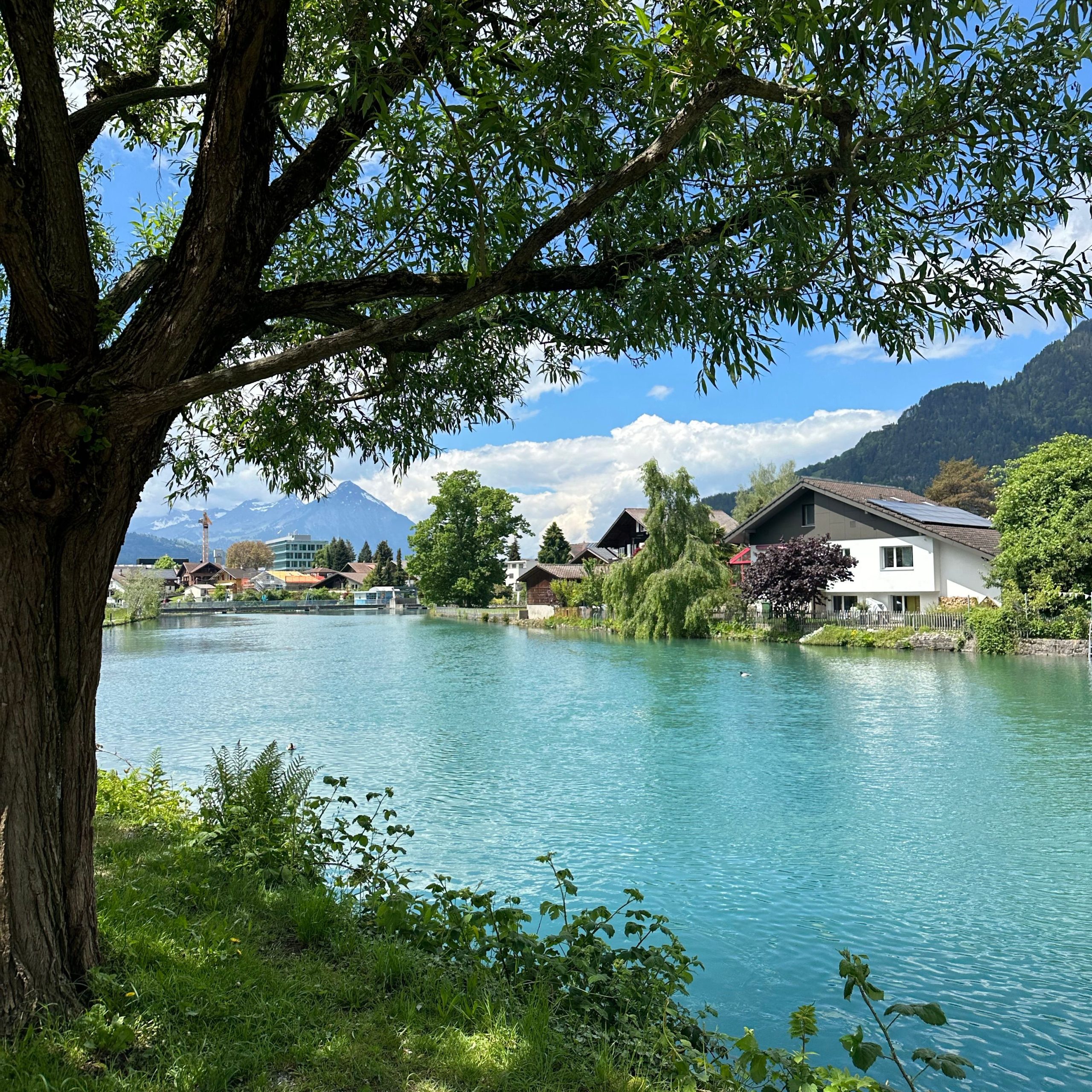 Best of Europe Tour Package – France, Netherlands, Germany & Switzerland | 8N 9D