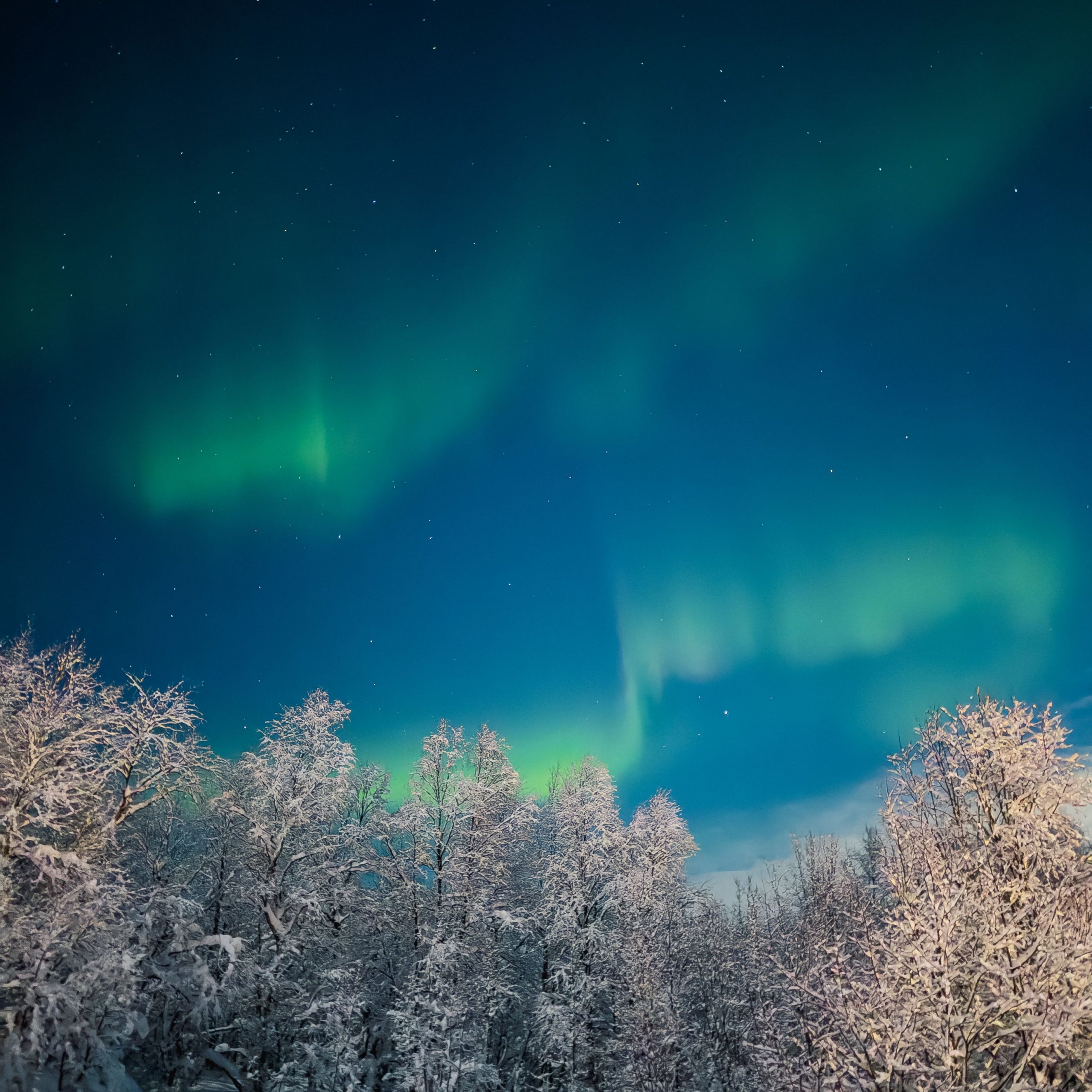 Winter Wonders of Russia Tour Package | 6D 5N