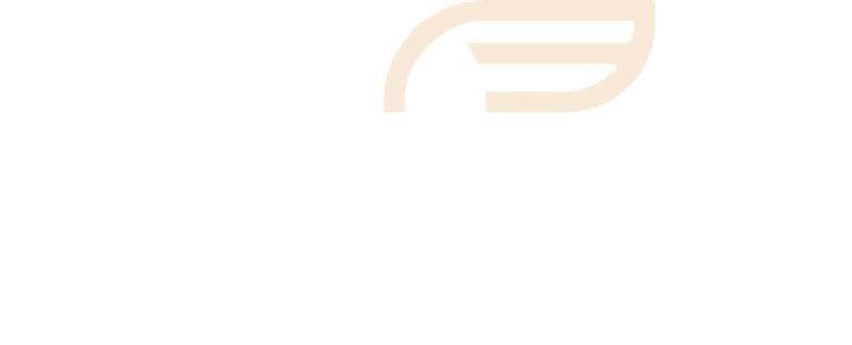 Mapshore Logo