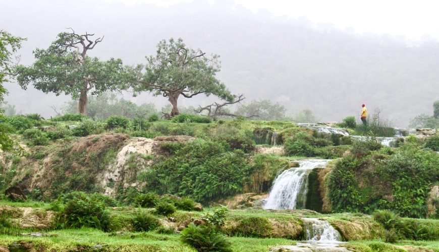 Exploring the Wonders of Salalah – Your Perfect Eid Getaway