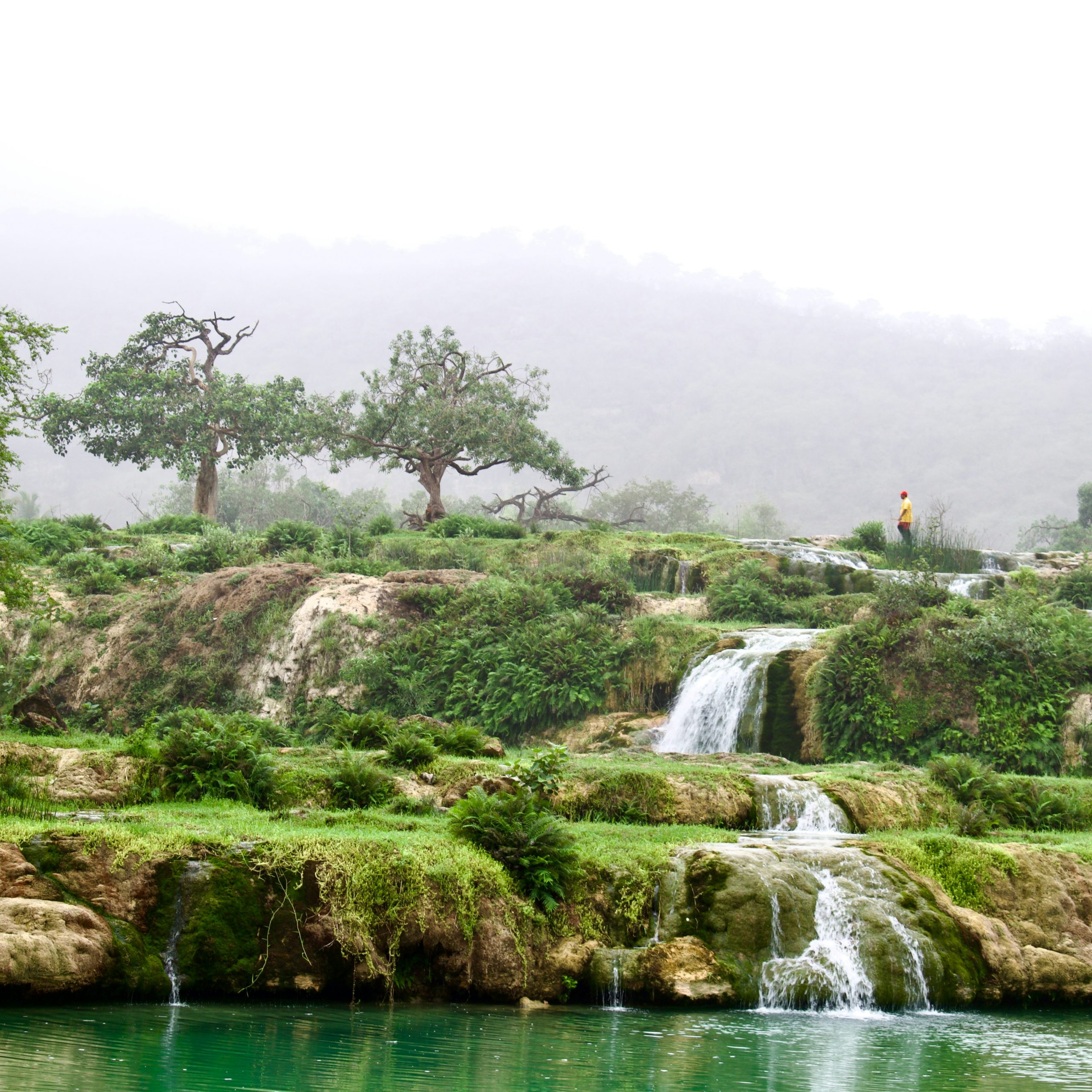 Exploring the Wonders of Salalah – Your Perfect Eid Getaway