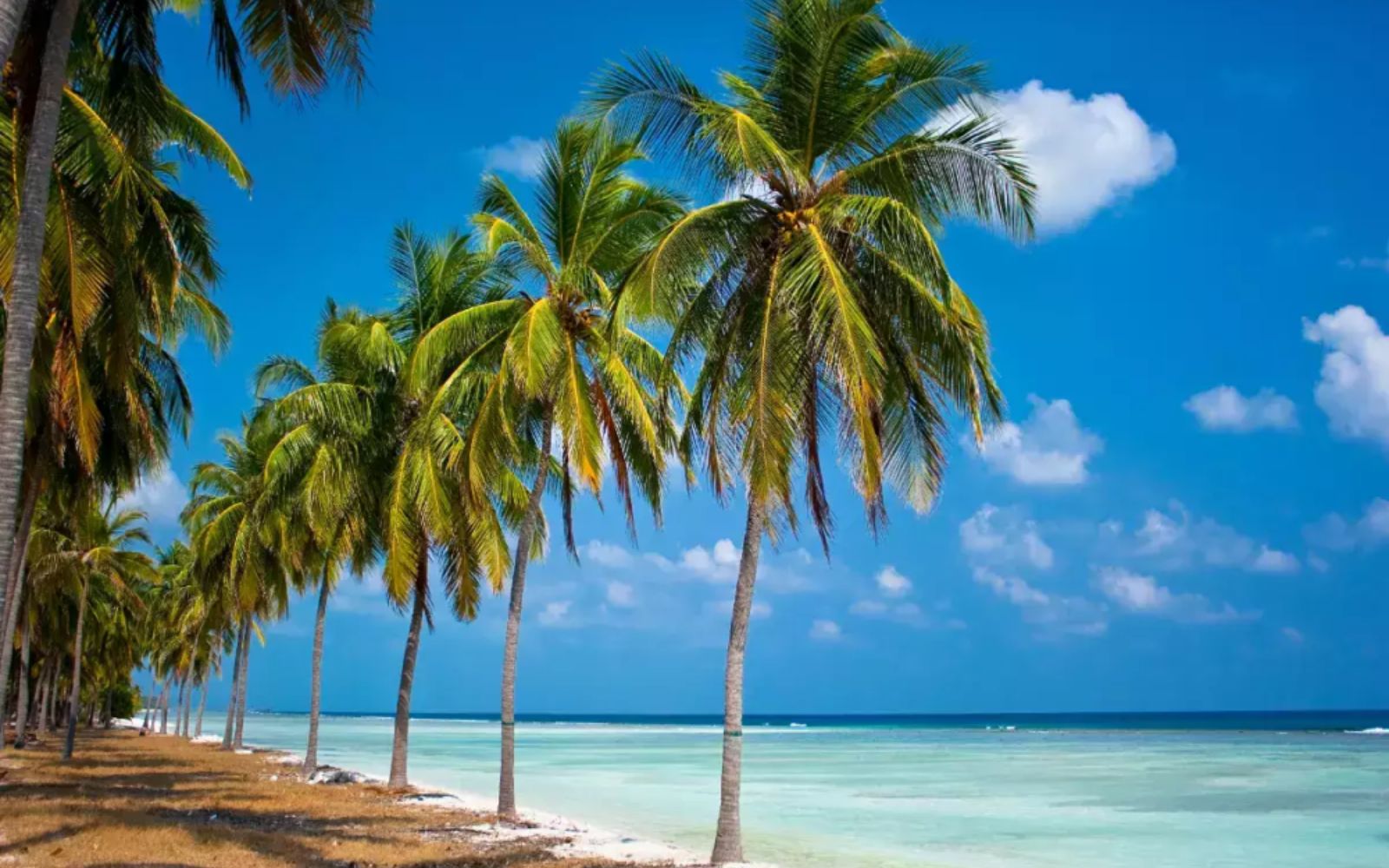 Lakshadweep Island Escape – 4 Days of Sun, Sea & Serenity