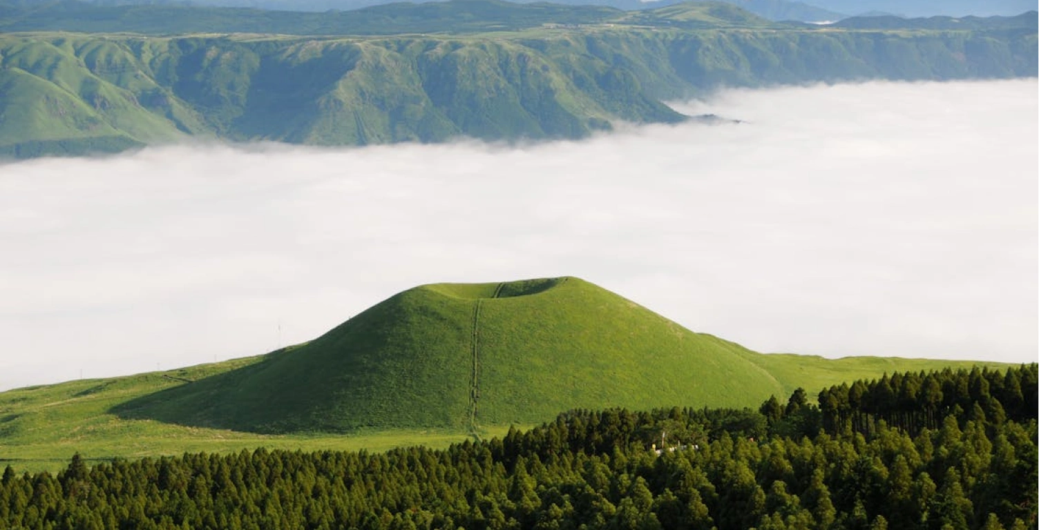 Japan Tour Package from India – Tokyo, Mt. Fuji & Disneyland (5 Days)