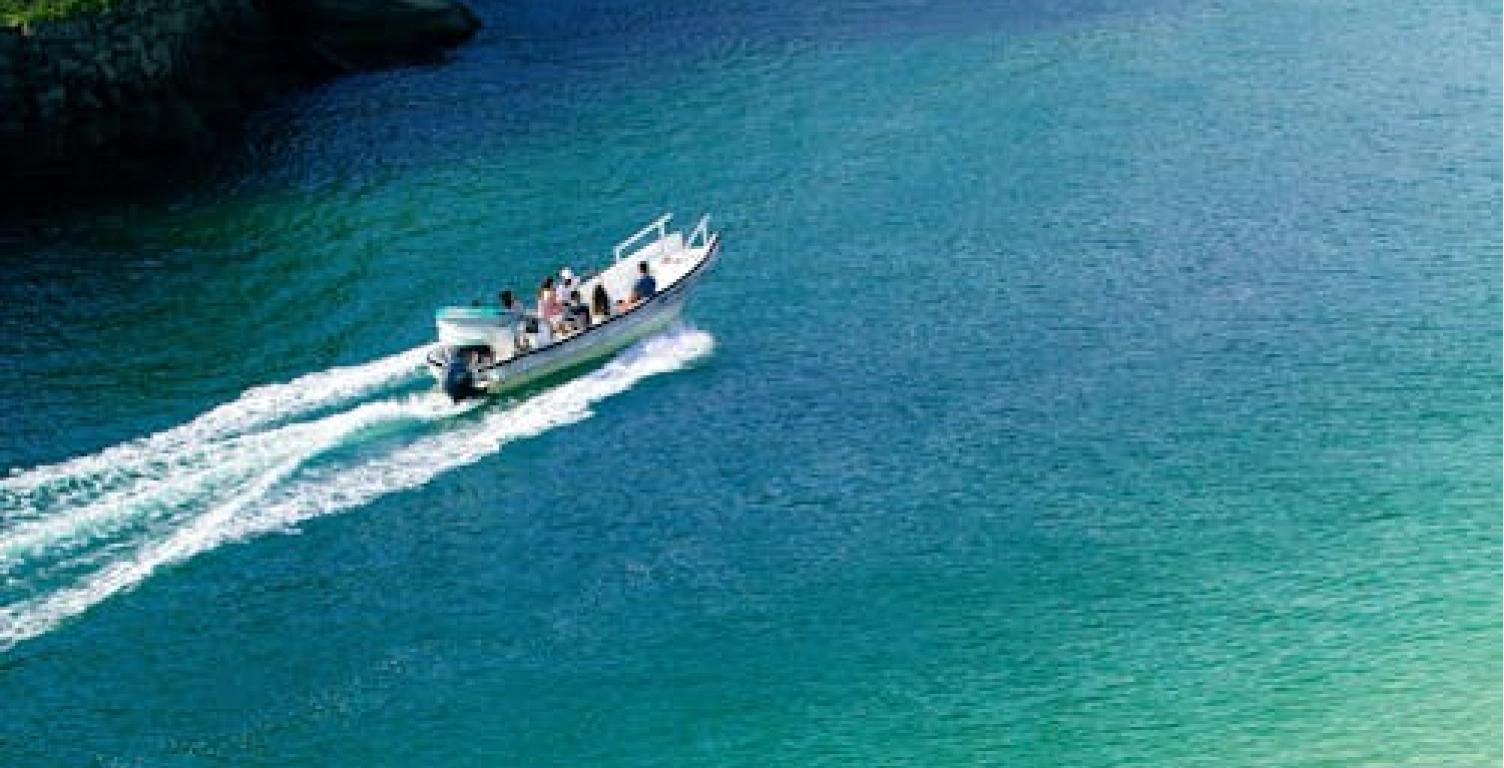 Japan Tour Package from India – Tokyo, Mt. Fuji & Disneyland (5 Days)