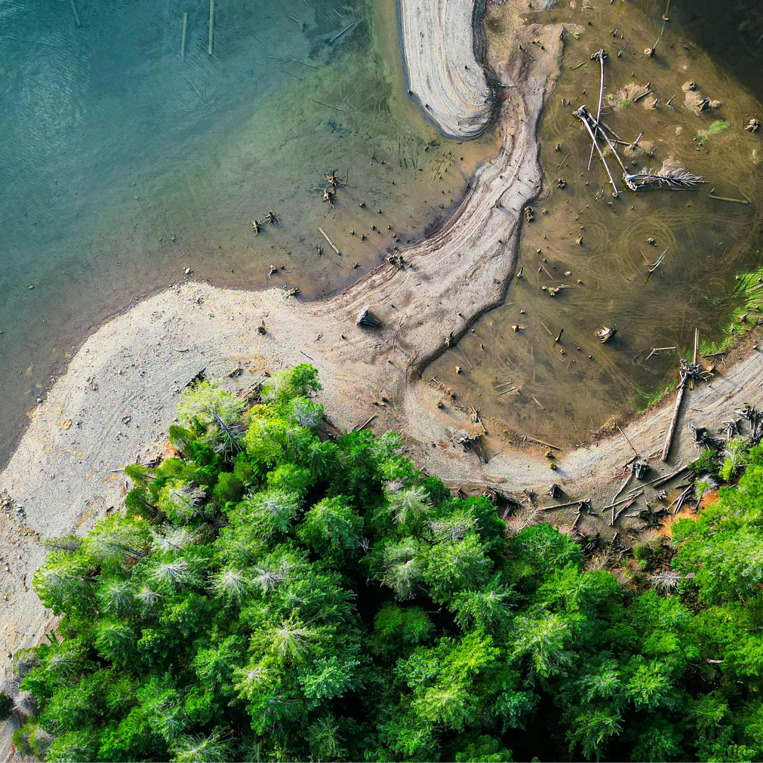 Kenya Masai Mara Tour Package from India – 5 Days Wildlife Safari