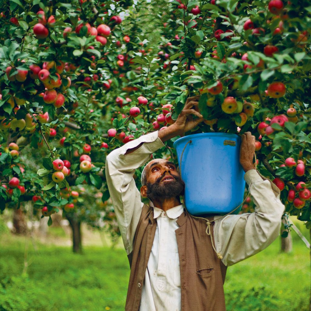 Kashmir Tour Package | 5D 4N