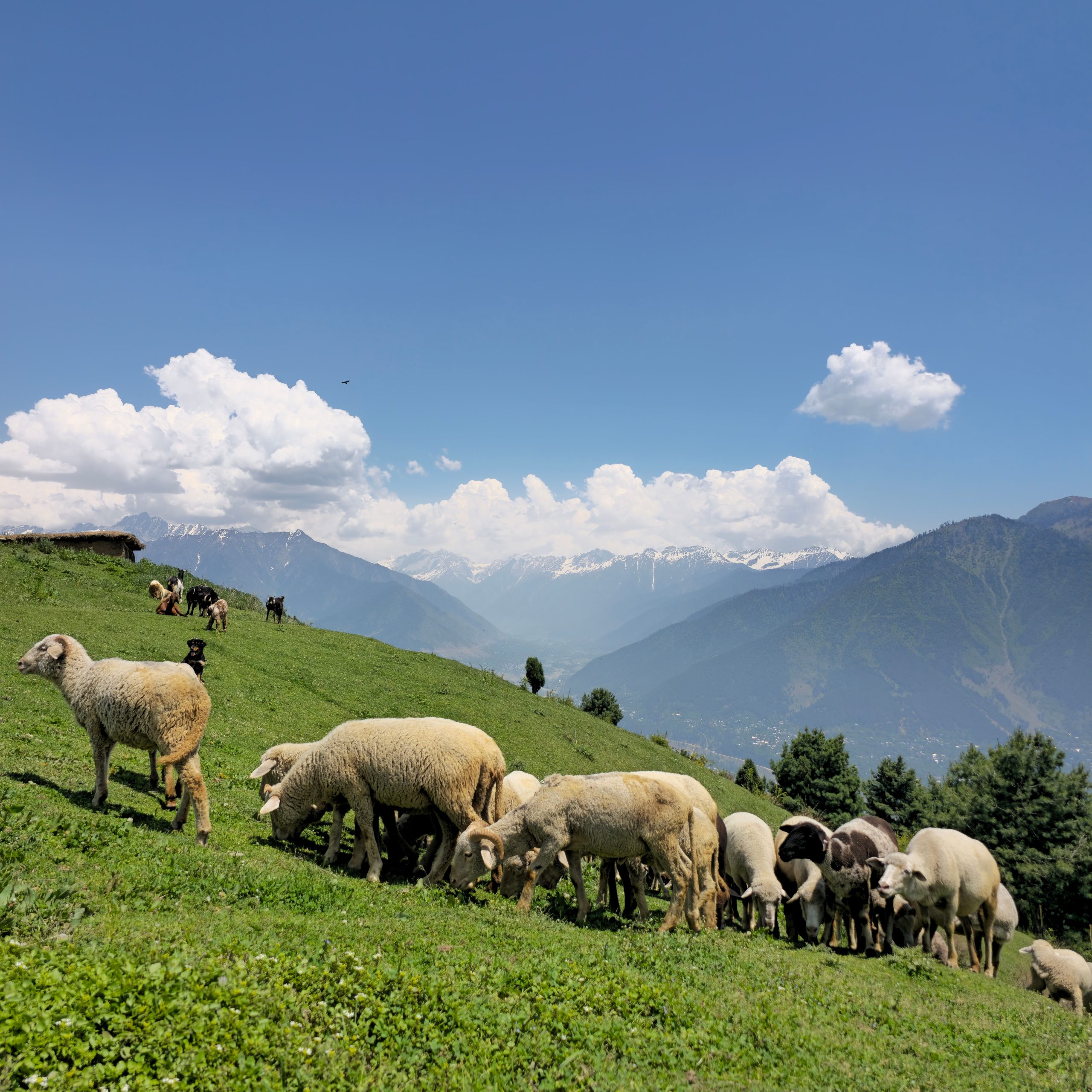 Kashmir Tour Package | 5D 4N