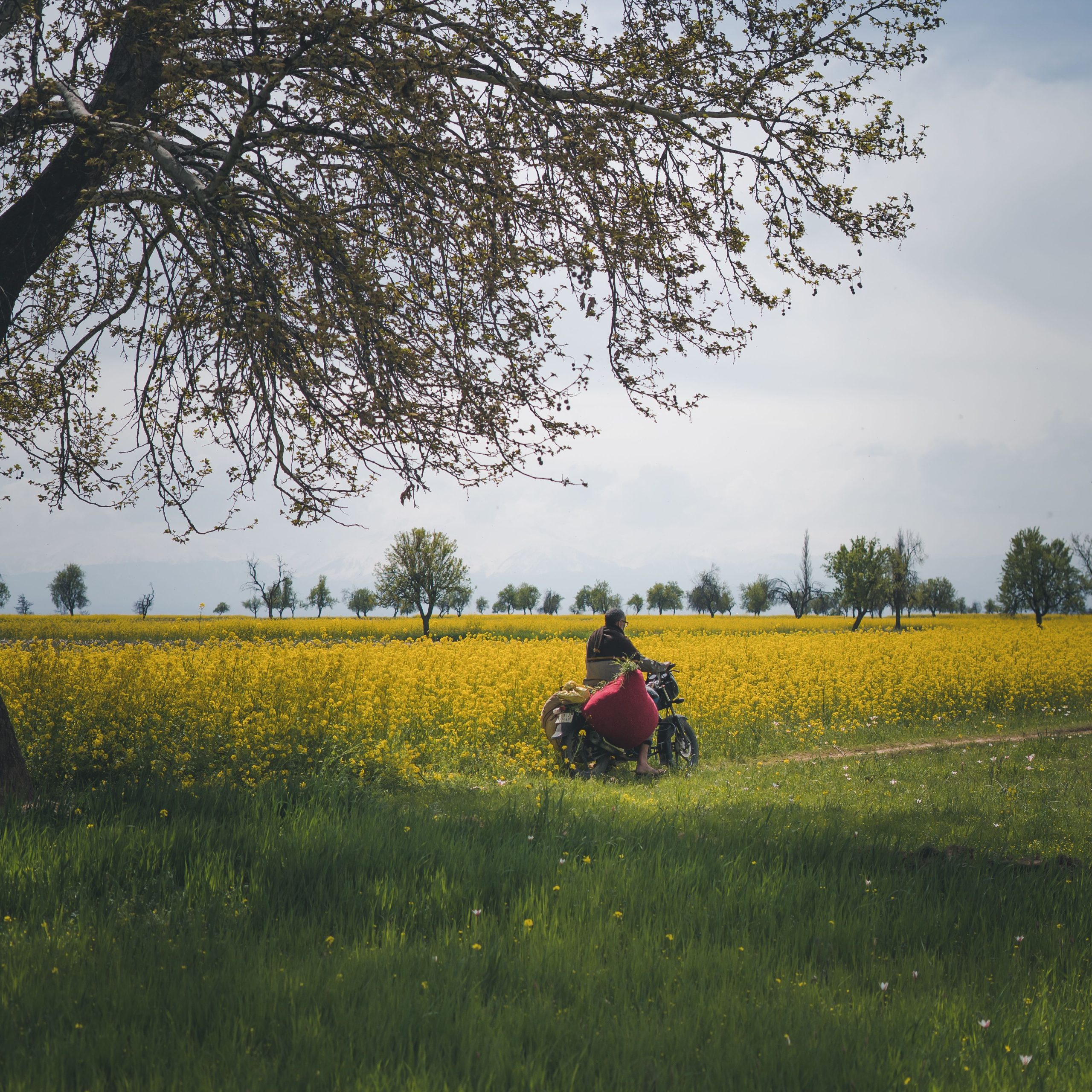 Kashmir Tour Package | 5D 4N