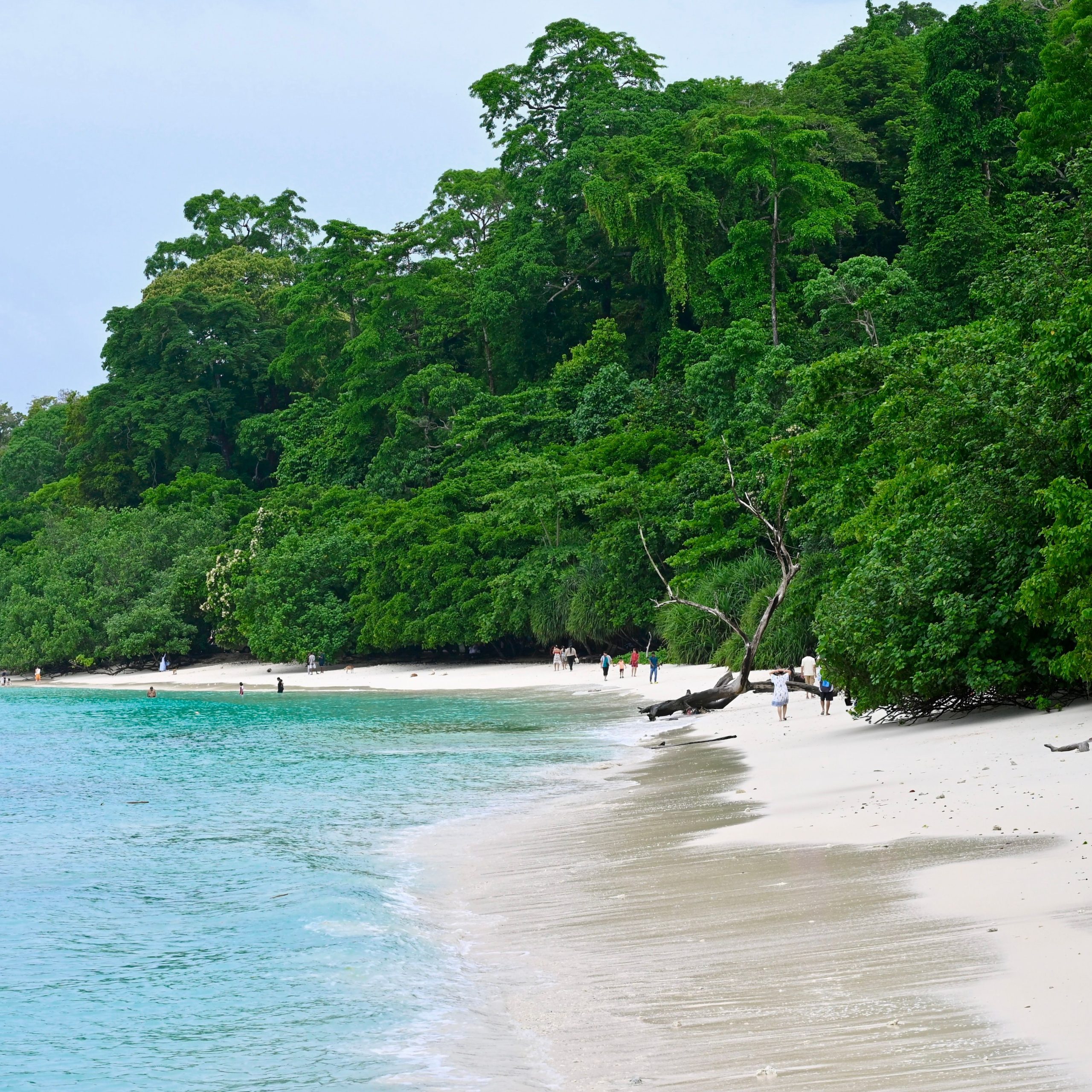 Andaman Tour Package | 4D 3N
