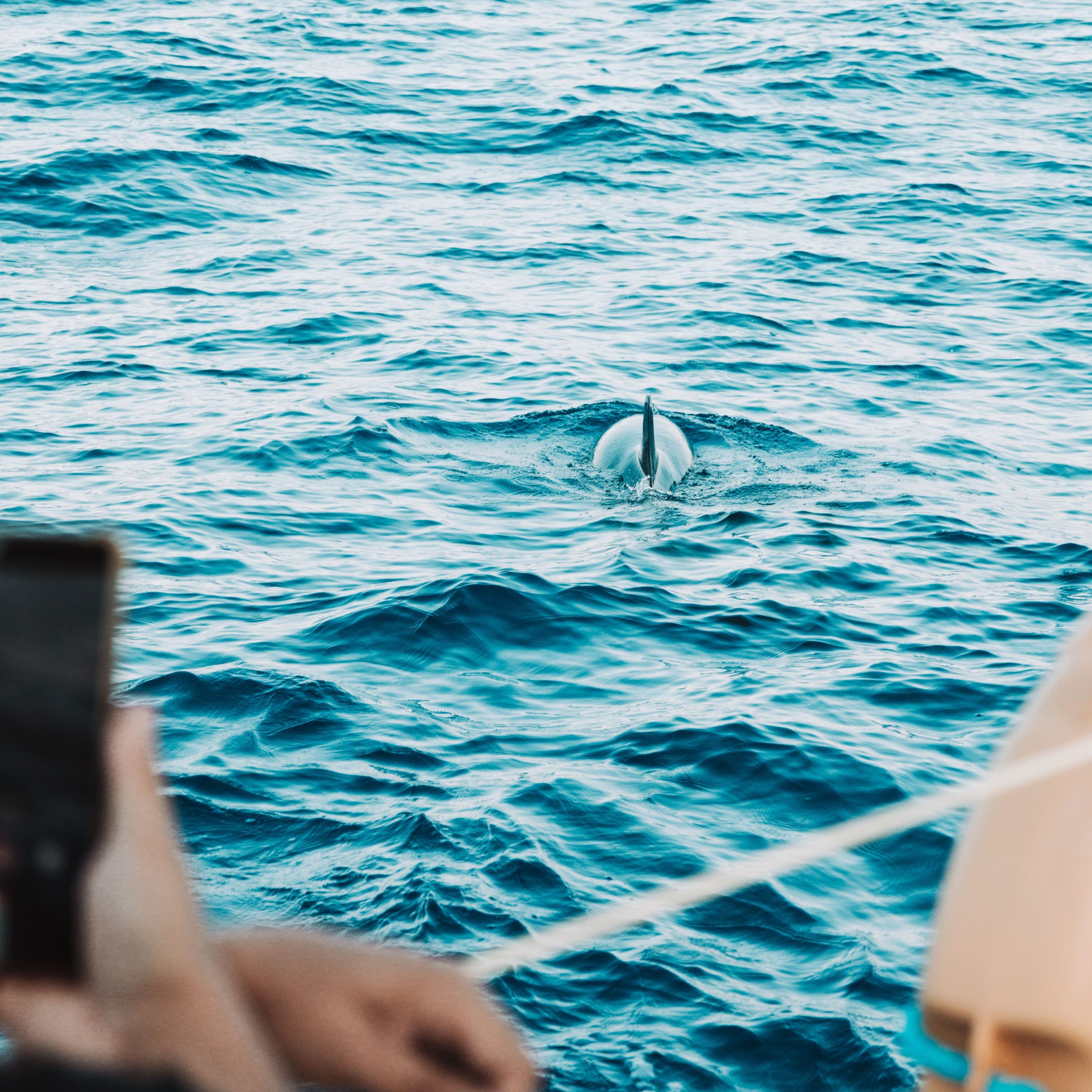 Maldives Tour Package | 4D 3N