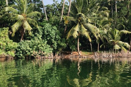 Sri Lanka Tour Package | 5D 4N