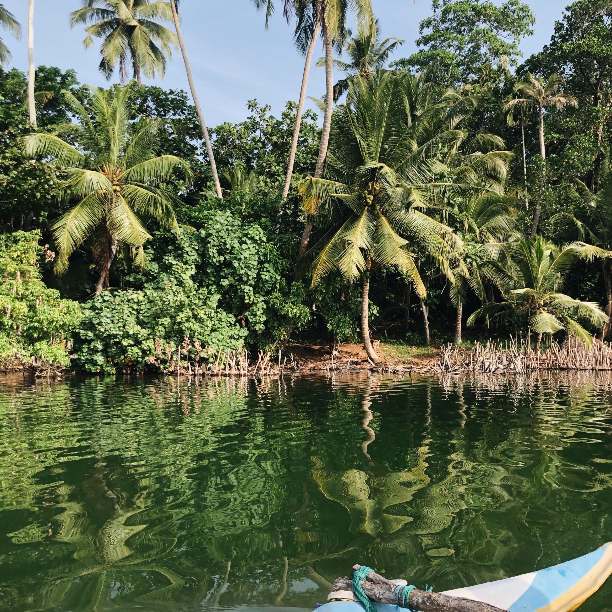 Sri Lanka Tour Package | 5D 4N