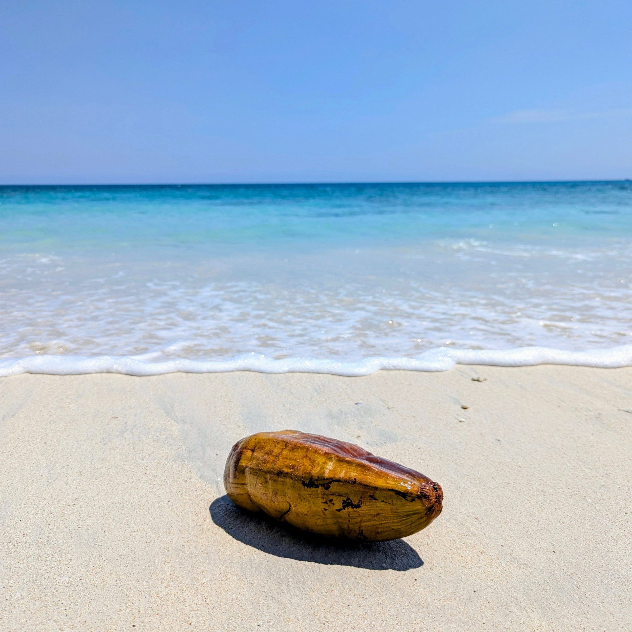 Andaman Tour Package | 4D 3N