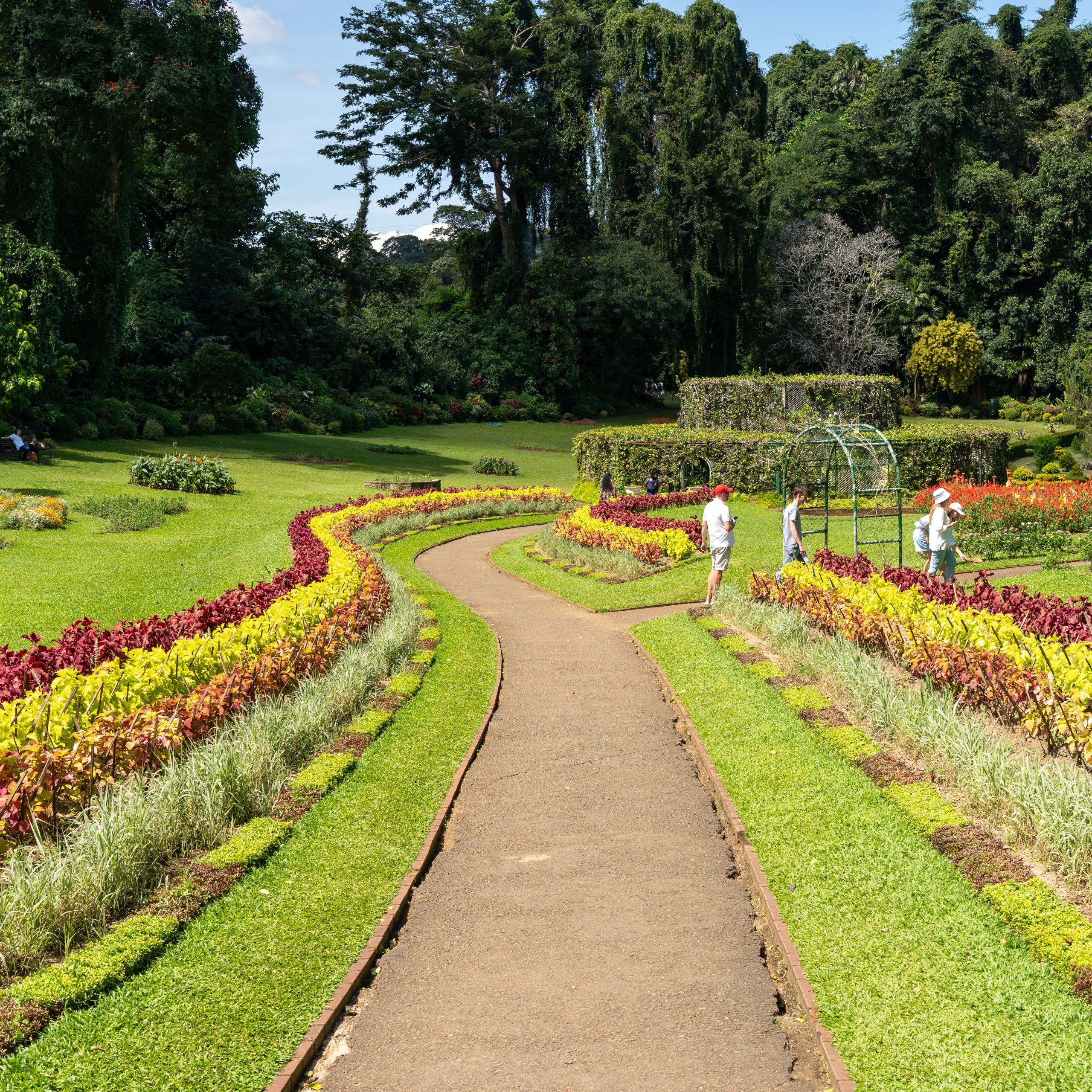 Sri Lanka Tour Package | 5D 4N