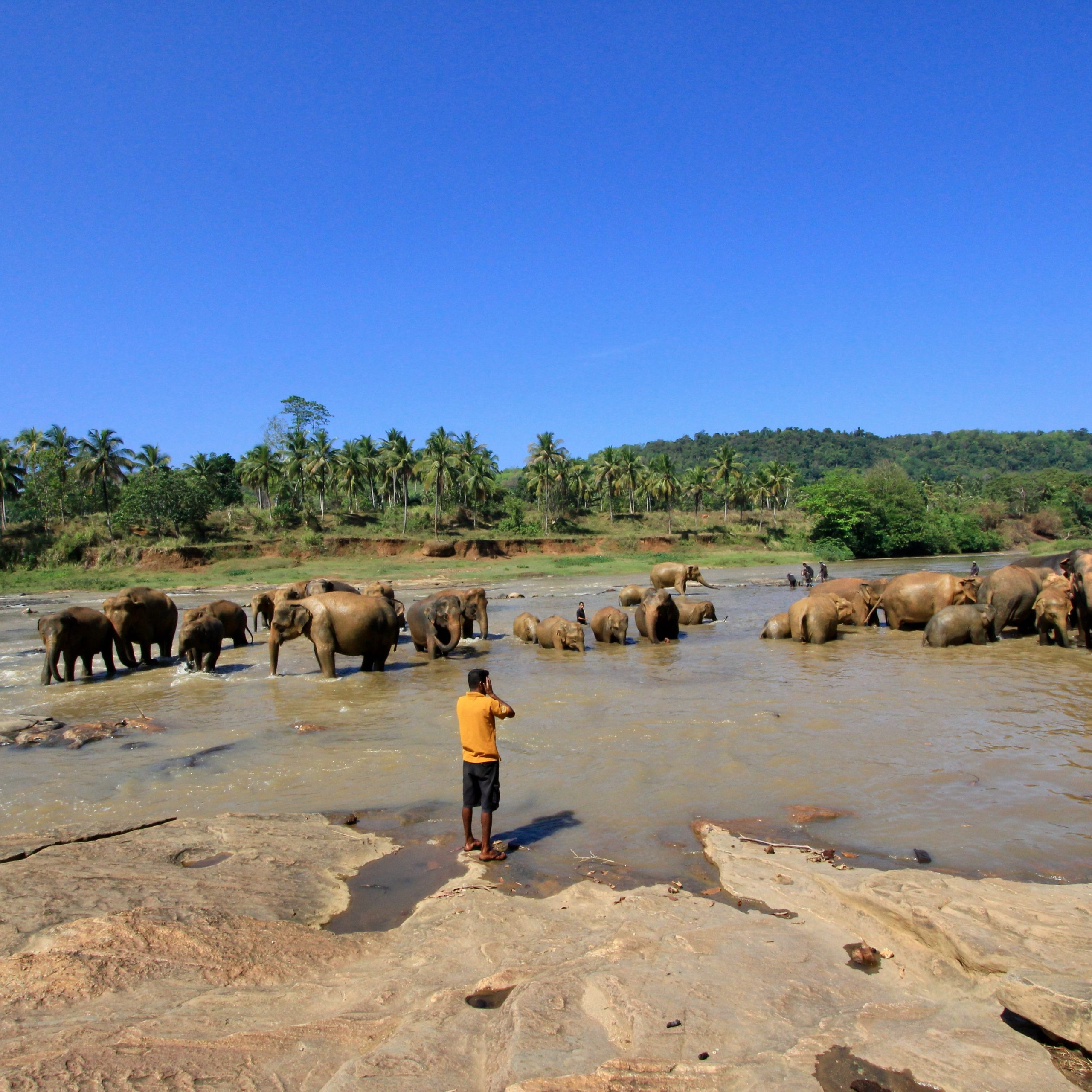 Sri Lanka Tour Package | 5D 4N