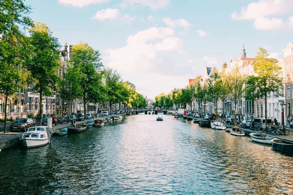 An Amsterdam canal lined with houseboats and trees