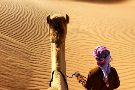 Dubai Delight: 3 Nights of Adventure